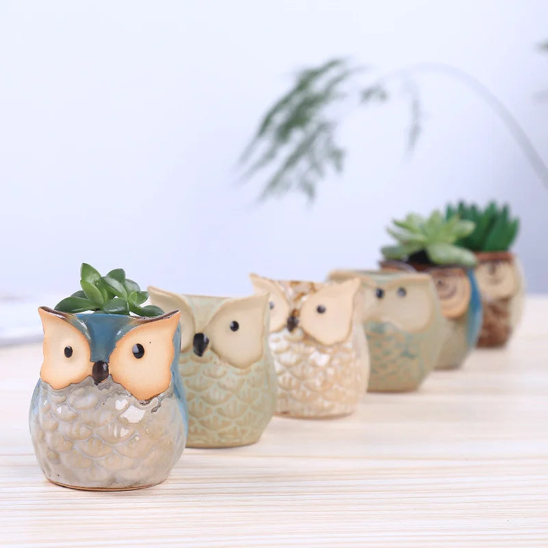 Creative Ceramic Mini Flowerpot Succulent Cute Owl