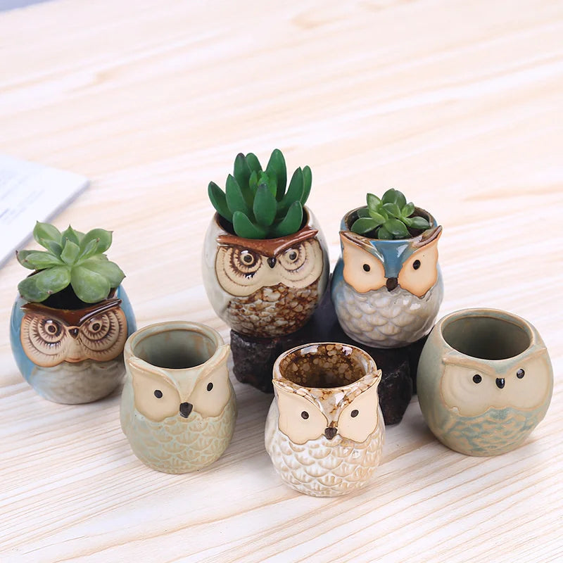 Creative Ceramic Mini Flowerpot Succulent Cute Owl