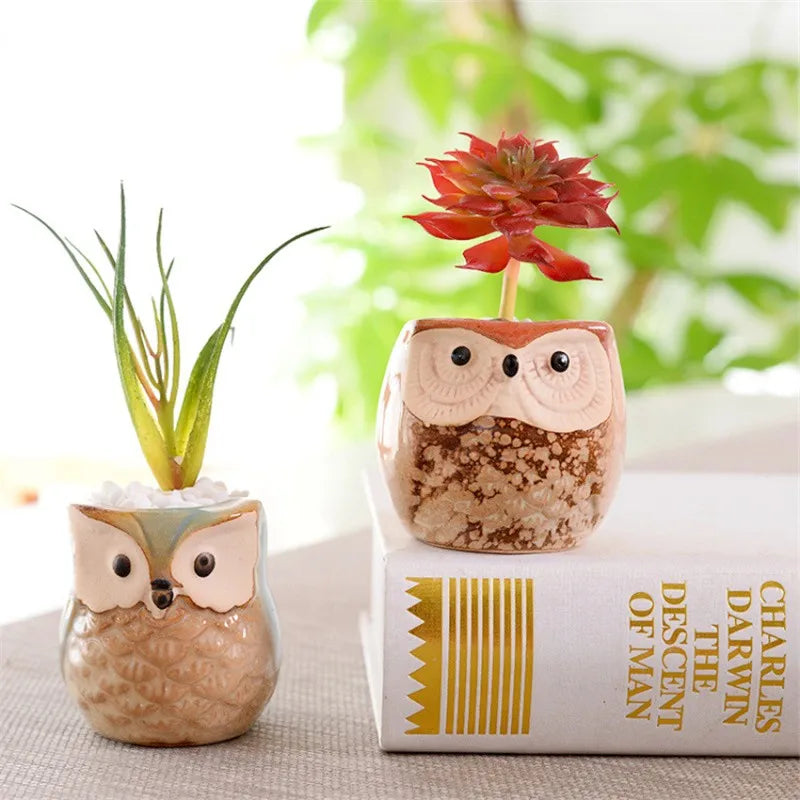 Creative Ceramic Mini Flowerpot Succulent Cute Owl