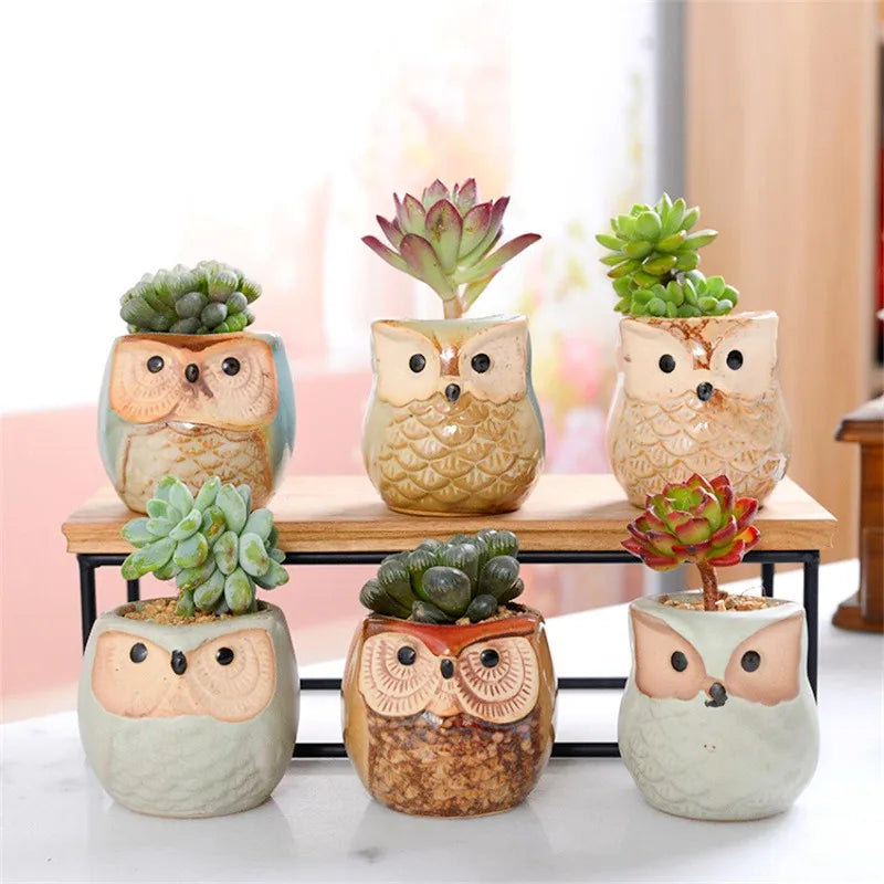 Creative Ceramic Mini Flowerpot Succulent Cute Owl