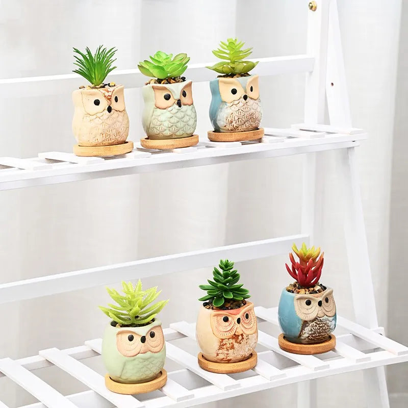 Creative Ceramic Mini Flowerpot Succulent Cute Owl