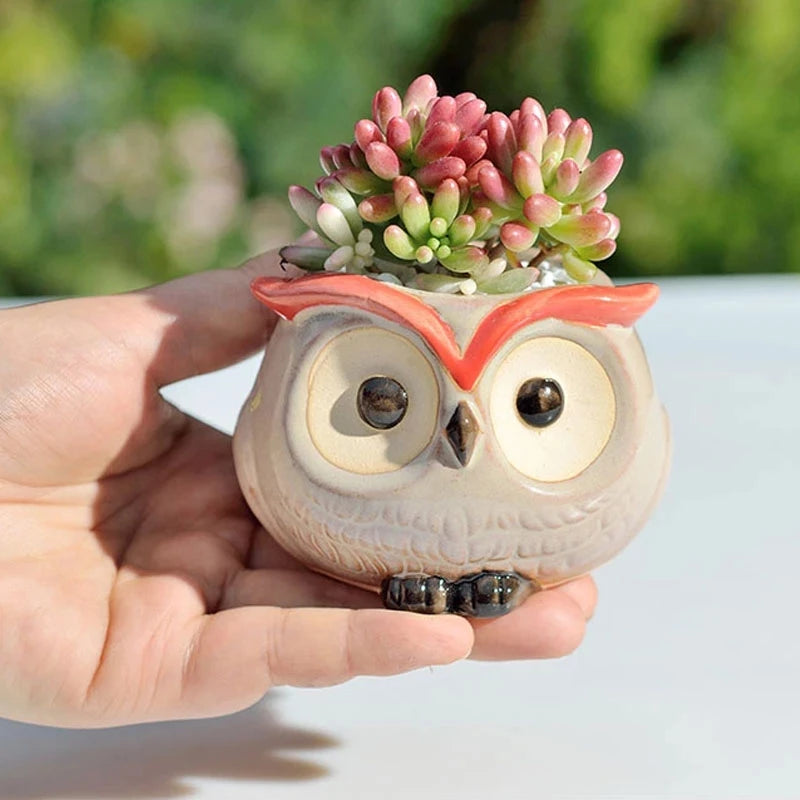 Mini Owl Flower Pot Garden Office Decoration