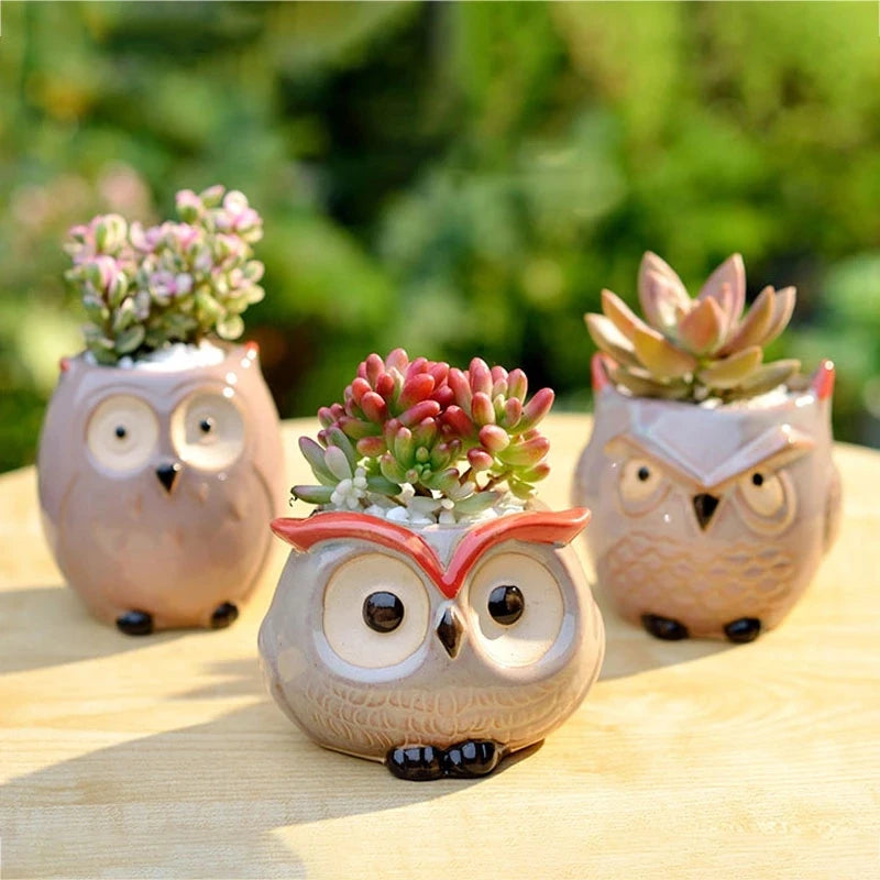 Mini Owl Flower Pot Garden Office Decoration