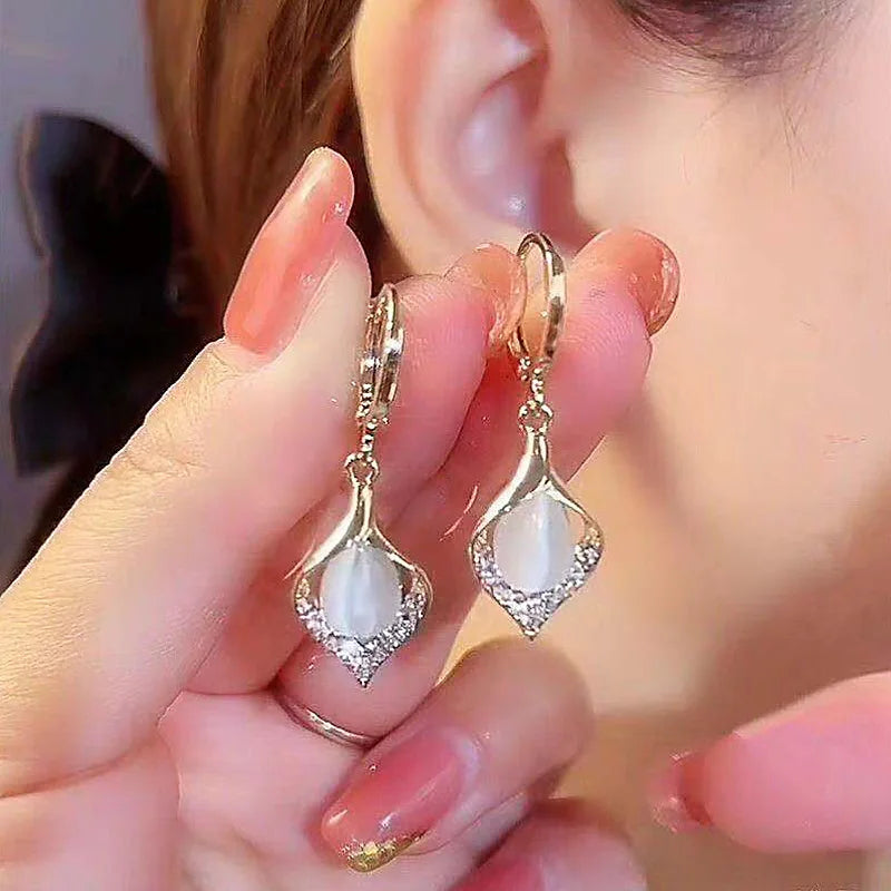 Luxury Trend Black Color Double Layer Earrings For Women  Zircon Geometric Earring