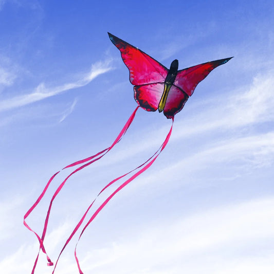 Beautiful butterfly kites With 100m  string