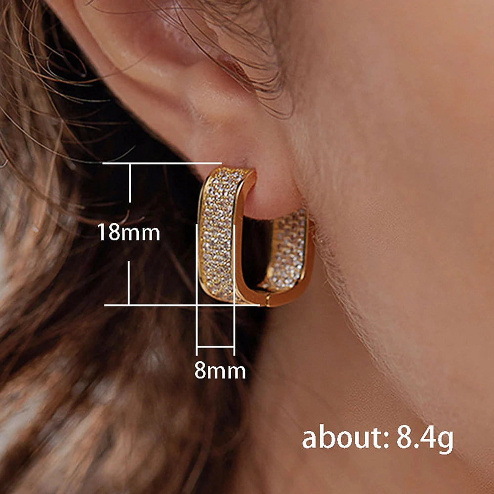 Korean Fashion Paved CZ Hoop Earrings