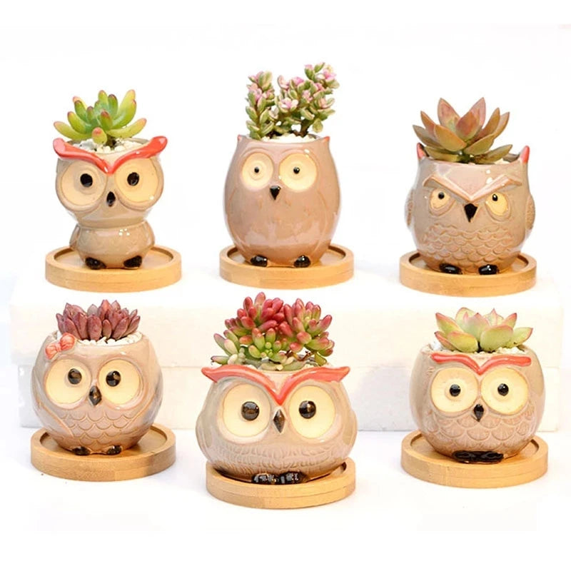 Mini Owl Flower Pot Garden Office Decoration