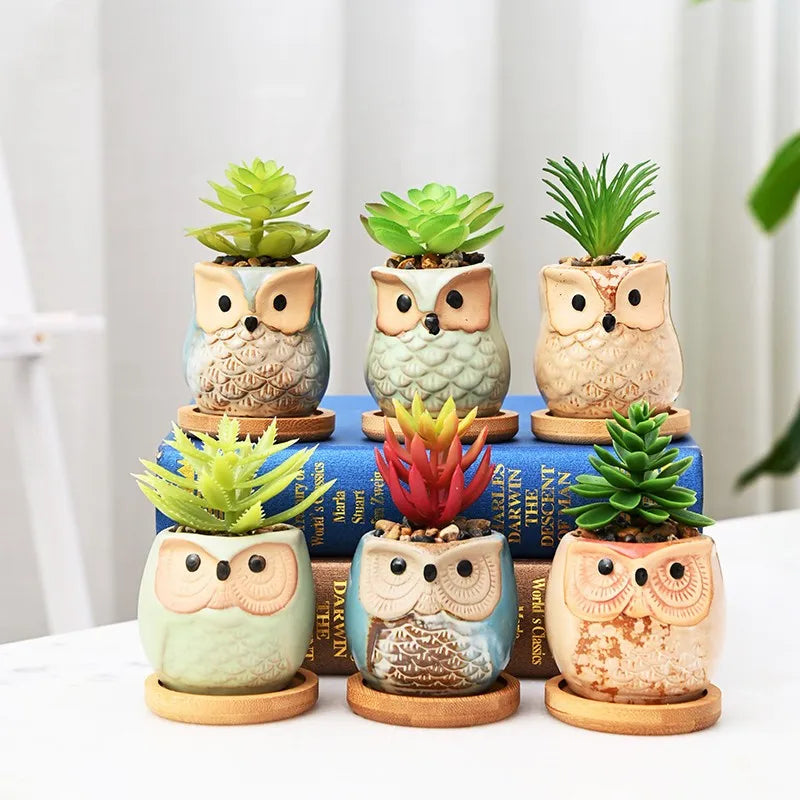 Creative Ceramic Mini Flowerpot Succulent Cute Owl